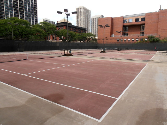 1255 N SANDBURG Terrace 806