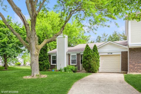 1036 Colony Lake Drive 0 Schaumburg IL 60194
