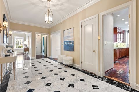 Tiny photo for 220 E WALTON Place #9W, Chicago, IL 60611 (MLS # 12607479)