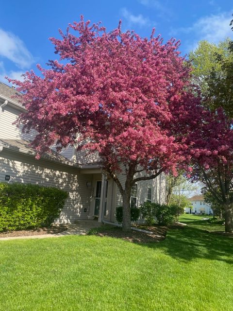 Tiny photo for 1529 Keystone Court, Elgin, IL 60120 (MLS # 12527436)