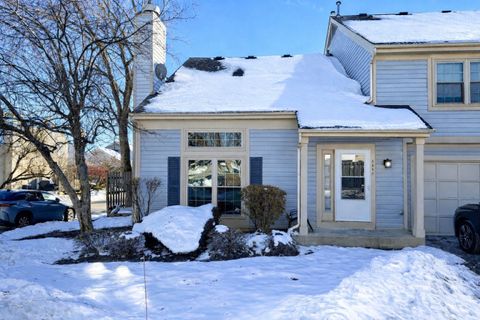 1118 N Knollwood Drive Palatine IL 60067