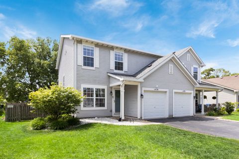 1476 Red Top Lane Minooka IL 60447