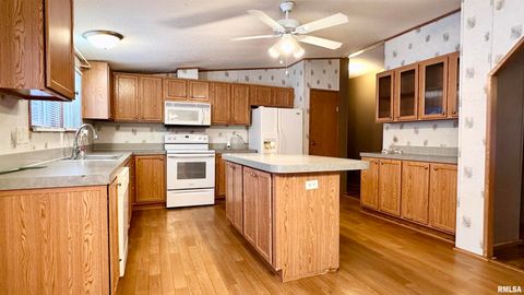 Tiny photo for 20855 SOUTH Street, Thompsonville, IL 62890 (MLS # EB460647)