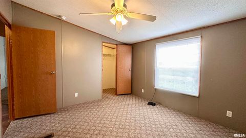 Tiny photo for 20855 SOUTH Street, Thompsonville, IL 62890 (MLS # EB460647)