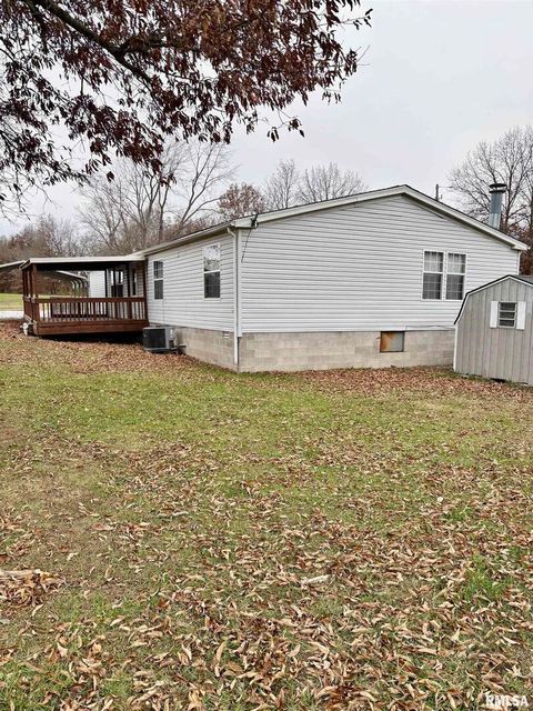 Tiny photo for 20855 SOUTH Street, Thompsonville, IL 62890 (MLS # EB460647)