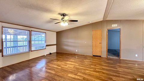 Tiny photo for 20855 SOUTH Street, Thompsonville, IL 62890 (MLS # EB460647)