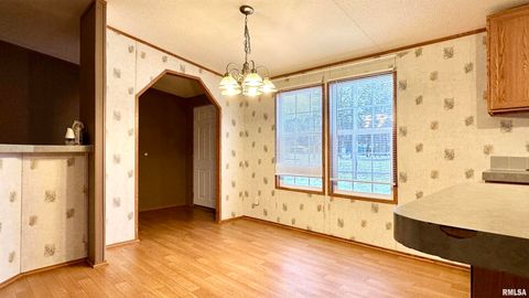 Tiny photo for 20855 SOUTH Street, Thompsonville, IL 62890 (MLS # EB460647)