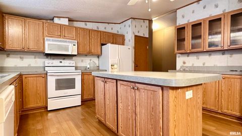 Tiny photo for 20855 SOUTH Street, Thompsonville, IL 62890 (MLS # EB460647)