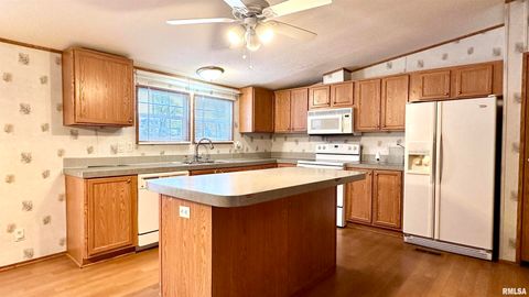 Tiny photo for 20855 SOUTH Street, Thompsonville, IL 62890 (MLS # EB460647)