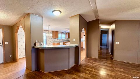 Tiny photo for 20855 SOUTH Street, Thompsonville, IL 62890 (MLS # EB460647)