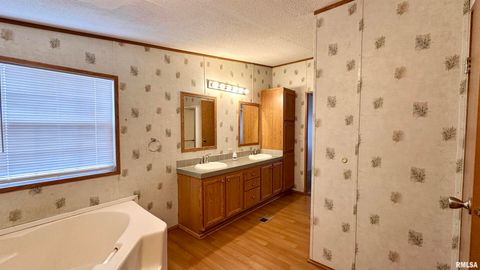 Tiny photo for 20855 SOUTH Street, Thompsonville, IL 62890 (MLS # EB460647)