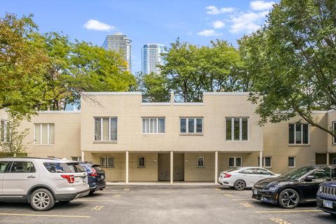 1073 S Park Terrace 207 Chicago IL 60605
