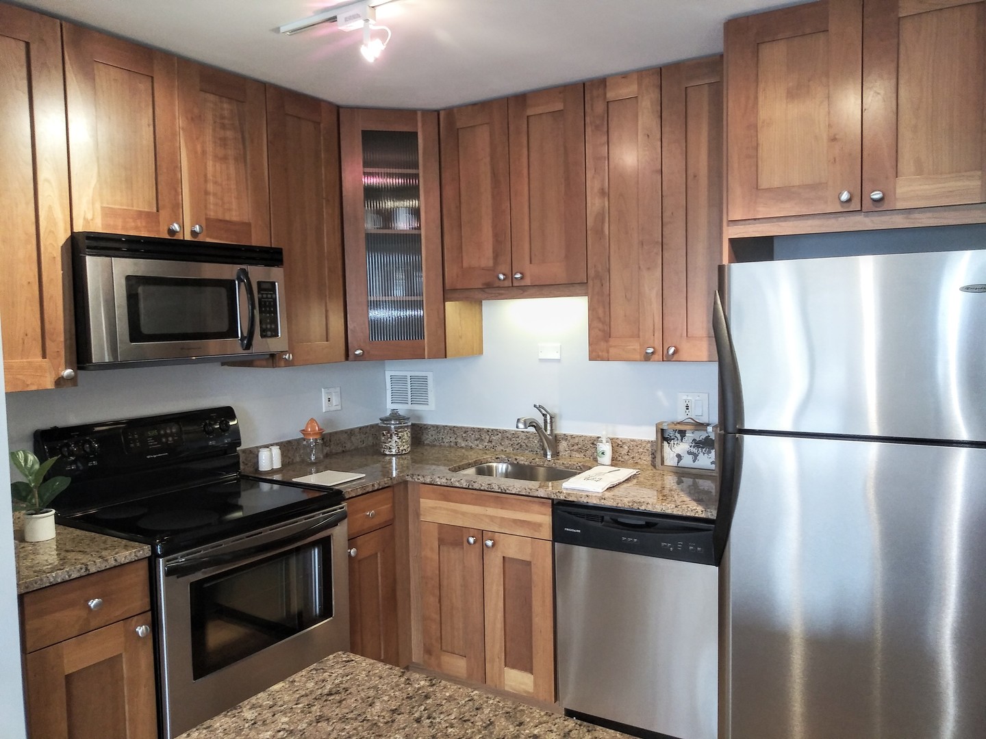 450 W Briar Place 6M