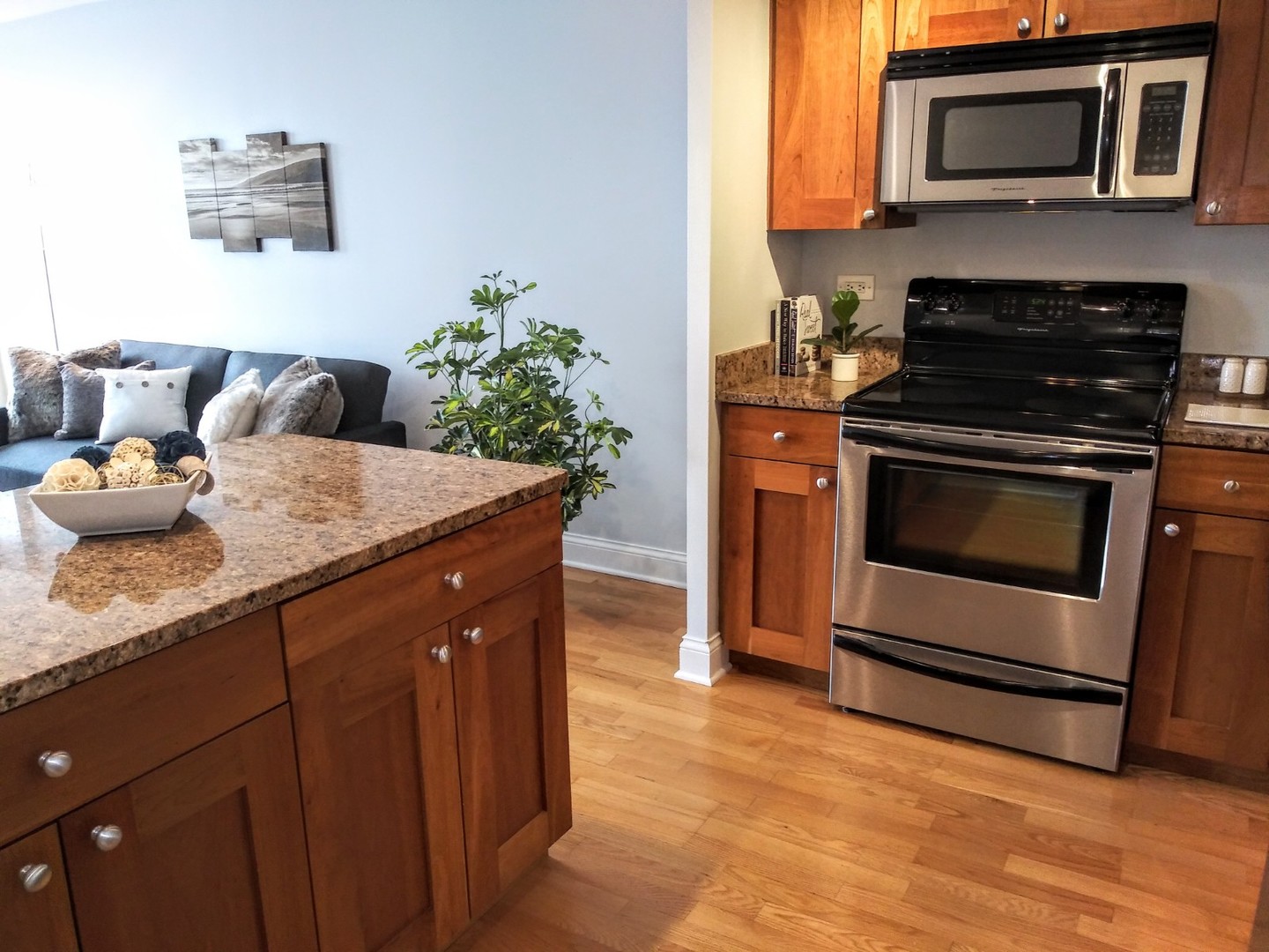 450 W Briar Place 6M