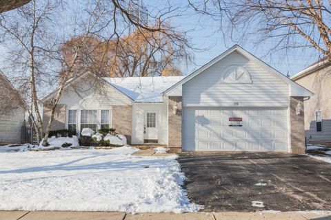 170 Dickens Trail Elgin IL 60120