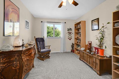 Tiny photo for 1042 Catalpa Court, Beecher, IL 60401 (MLS # 12488947)