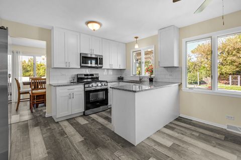 Tiny photo for 1042 Catalpa Court, Beecher, IL 60401 (MLS # 12488947)