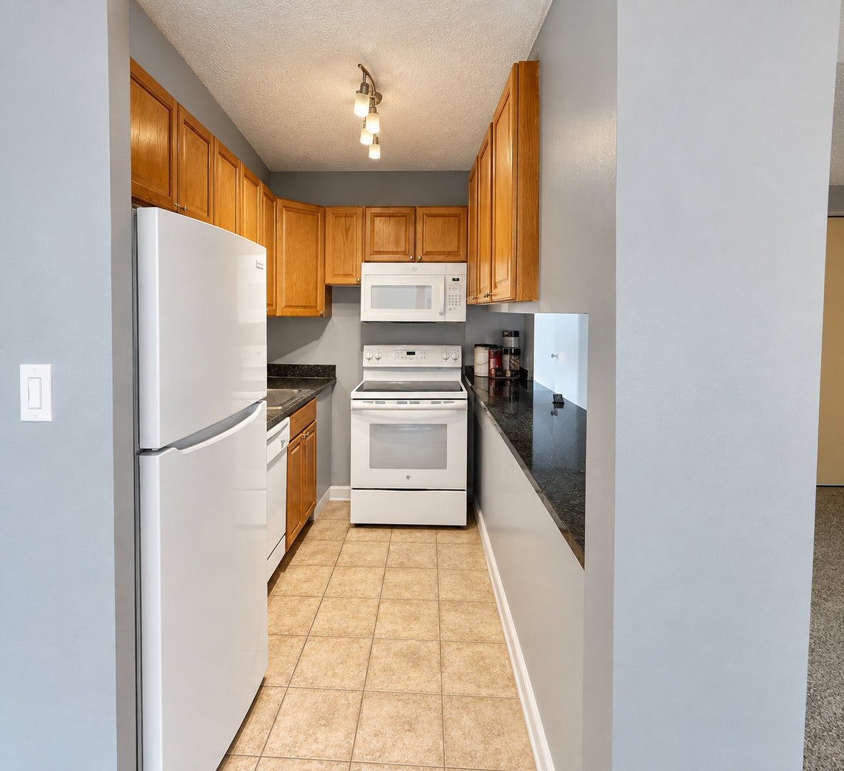 3110 N Sheridan Road 505