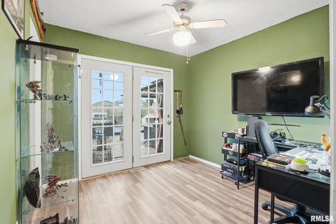 Tiny photo for 509 28TH Avenue W, Milan, IL 61264 (MLS # QC4269502)