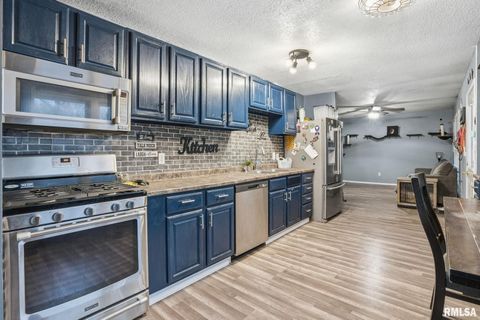 Tiny photo for 509 28TH Avenue W, Milan, IL 61264 (MLS # QC4269502)