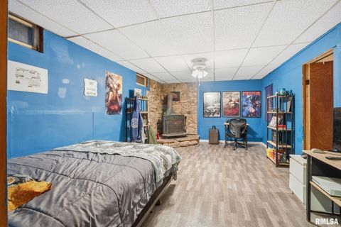 Tiny photo for 509 28TH Avenue W, Milan, IL 61264 (MLS # QC4269502)