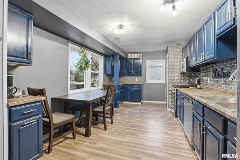 Tiny photo for 509 28TH Avenue W, Milan, IL 61264 (MLS # QC4269502)