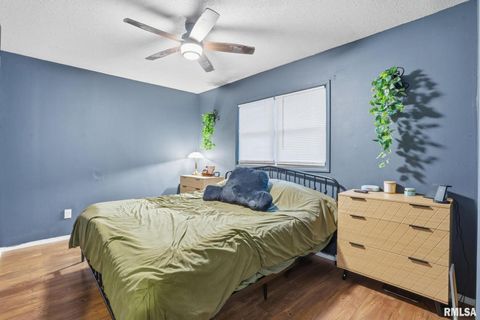 Tiny photo for 509 28TH Avenue W, Milan, IL 61264 (MLS # QC4269502)