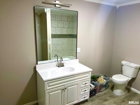 Tiny photo for 600 E 15TH Street, Metropolis, IL 62960 (MLS # 12554307)