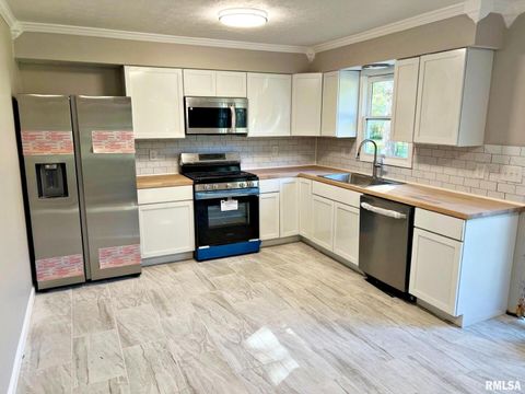 Tiny photo for 600 E 15TH Street, Metropolis, IL 62960 (MLS # 12554307)