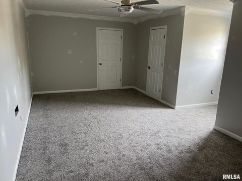 Tiny photo for 600 E 15TH Street, Metropolis, IL 62960 (MLS # 12554307)