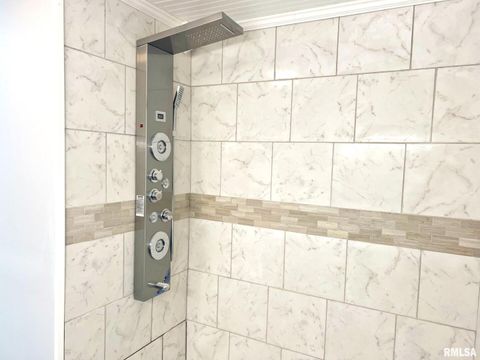 Tiny photo for 600 E 15TH Street, Metropolis, IL 62960 (MLS # 12554307)