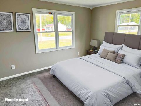 Tiny photo for 600 E 15TH Street, Metropolis, IL 62960 (MLS # 12554307)