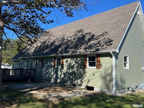 Tiny photo for 600 E 15TH Street, Metropolis, IL 62960 (MLS # 12554307)