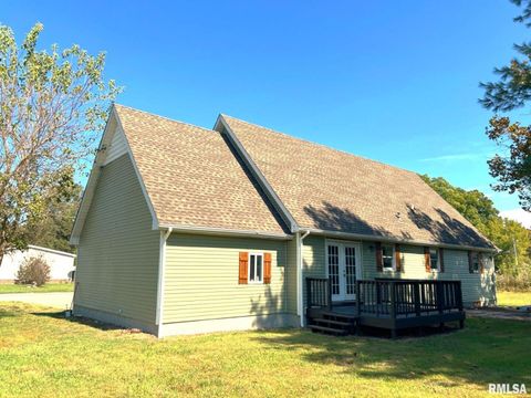 Tiny photo for 600 E 15TH Street, Metropolis, IL 62960 (MLS # 12554307)