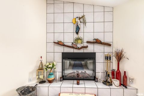 Tiny photo for 173 Lake Indian Hills Circle, Carbondale, IL 62902 (MLS # EB459456)