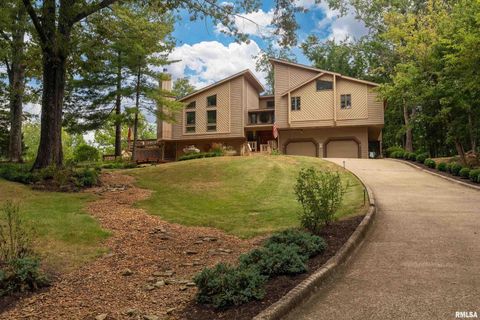 Tiny photo for 173 Lake Indian Hills Circle, Carbondale, IL 62902 (MLS # EB459456)