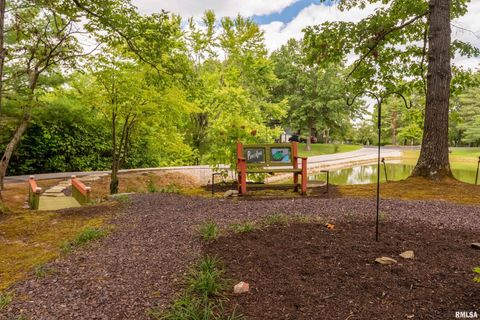 Tiny photo for 173 Lake Indian Hills Circle, Carbondale, IL 62902 (MLS # EB459456)