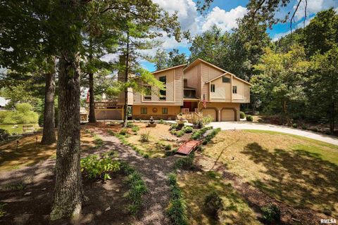 Tiny photo for 173 Lake Indian Hills Circle, Carbondale, IL 62902 (MLS # EB459456)