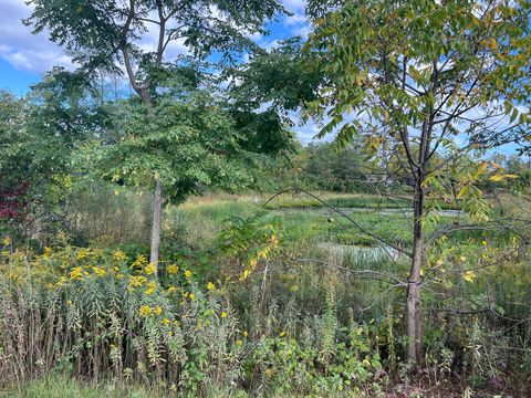 Tiny photo for 445 Village Green Court #301, Lincolnshire, IL 60069 (MLS # 12484782)