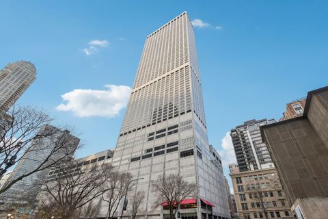 180 E PEARSON Street 4202 Chicago IL 60611