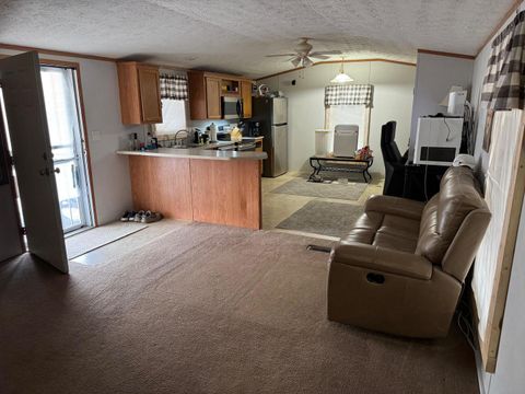 Tiny photo for 225 Parker Street, Bulpitt, IL 62863 (MLS # 12594366)