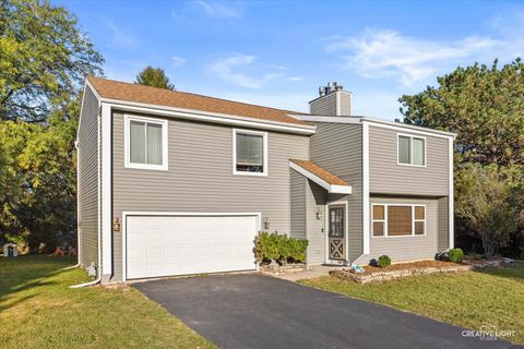 Tiny photo for 1305 Morningstar Court, Naperville, IL 60564 (MLS # 12491150)