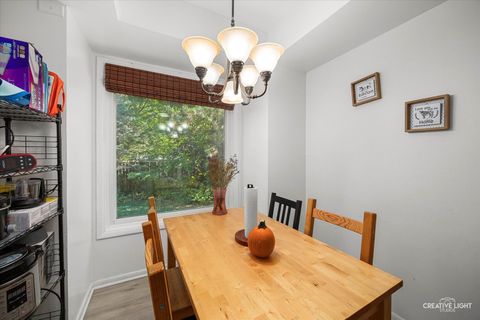 Tiny photo for 1305 Morningstar Court, Naperville, IL 60564 (MLS # 12491150)
