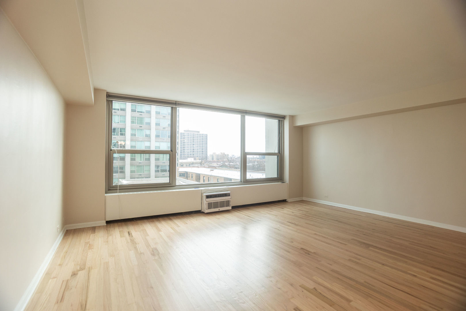 3600 N Lake Shore Drive 523