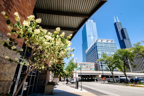 Tiny photo for 500 S Clinton Street #632, Chicago, IL 60607 (MLS # 12745717)