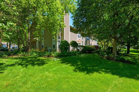 Tiny photo for 141 Crescent Lane #141, Schaumburg, IL 60193 (MLS # 12670490)