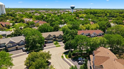 Tiny photo for 141 Crescent Lane #141, Schaumburg, IL 60193 (MLS # 12670490)
