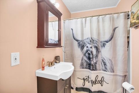 Tiny photo for 917 TIMMONS Drive, Tuscola, IL 61953 (MLS # 12482234)