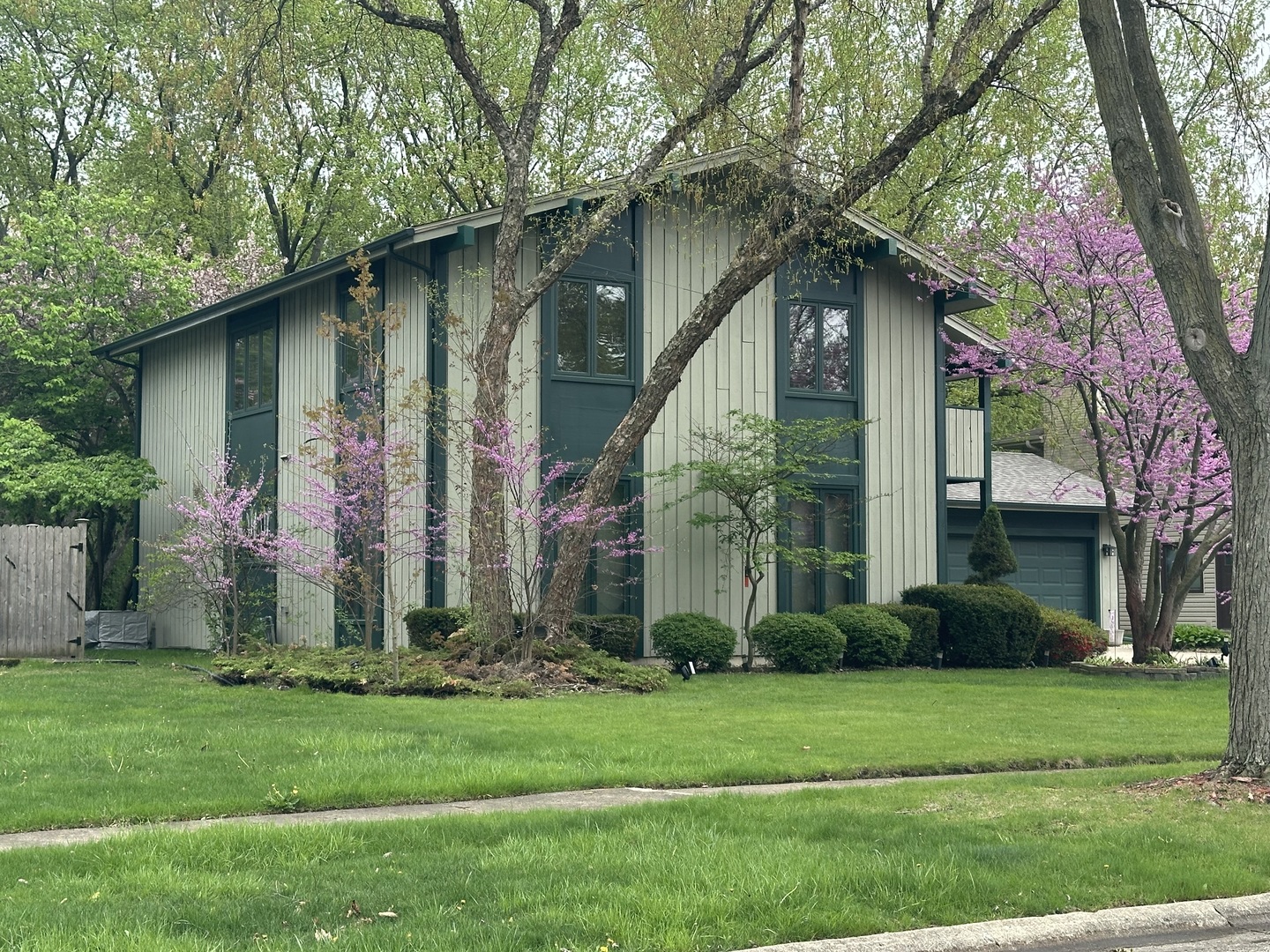 245 Little John Court