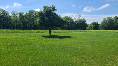 Tiny photo for 9830 Yorktown Road, Lyndon, IL 61261 (MLS # 12685716)